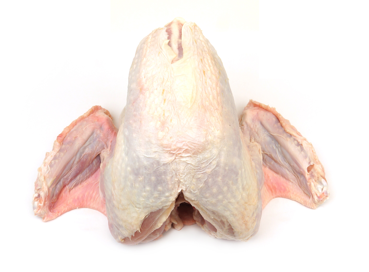  Wise Organic Pastures Chicken Whole Broilers Cryovaced, 3.5 lb  : Grocery & Gourmet Food